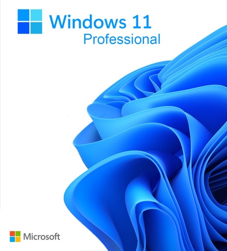 Windows 11 Professional license